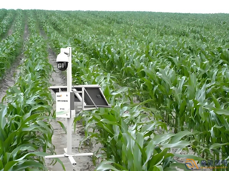 作物生長全周期監測解決方案