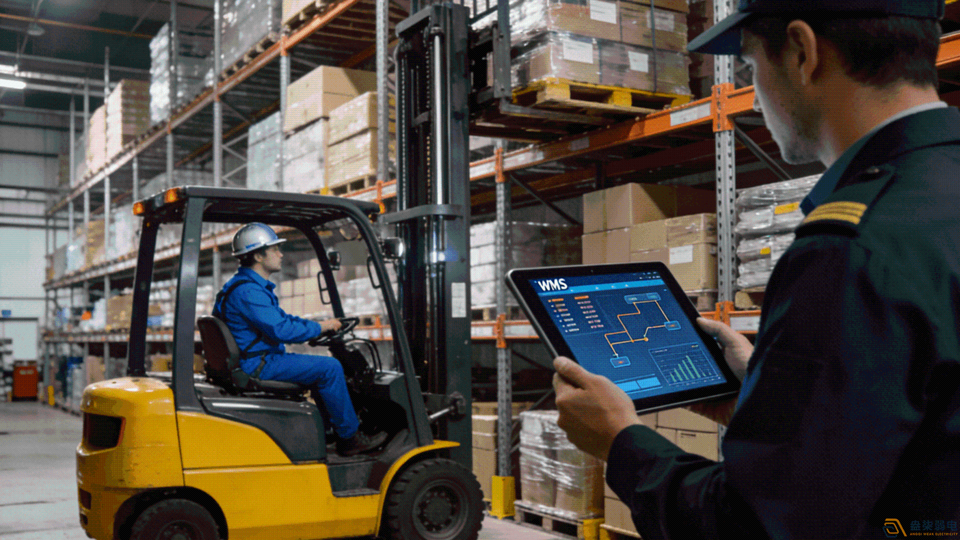 中型倉庫1000-10000㎡適合哪種WMS系統？